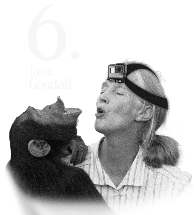 Jane Goodall