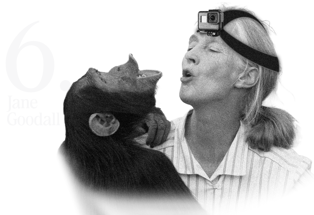 Jane Goodall