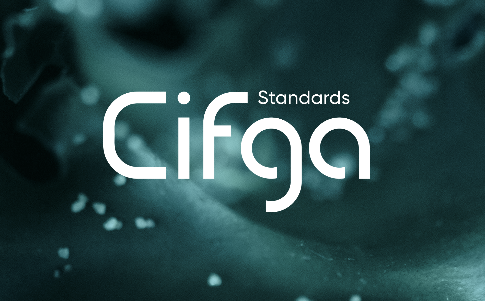 Cifga Standars logo