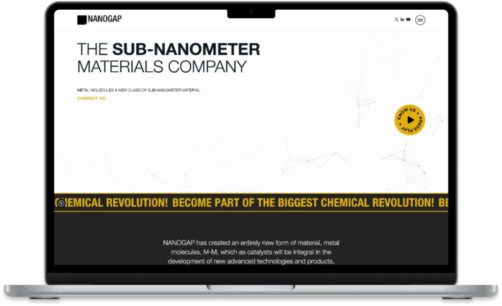 Nanogap web