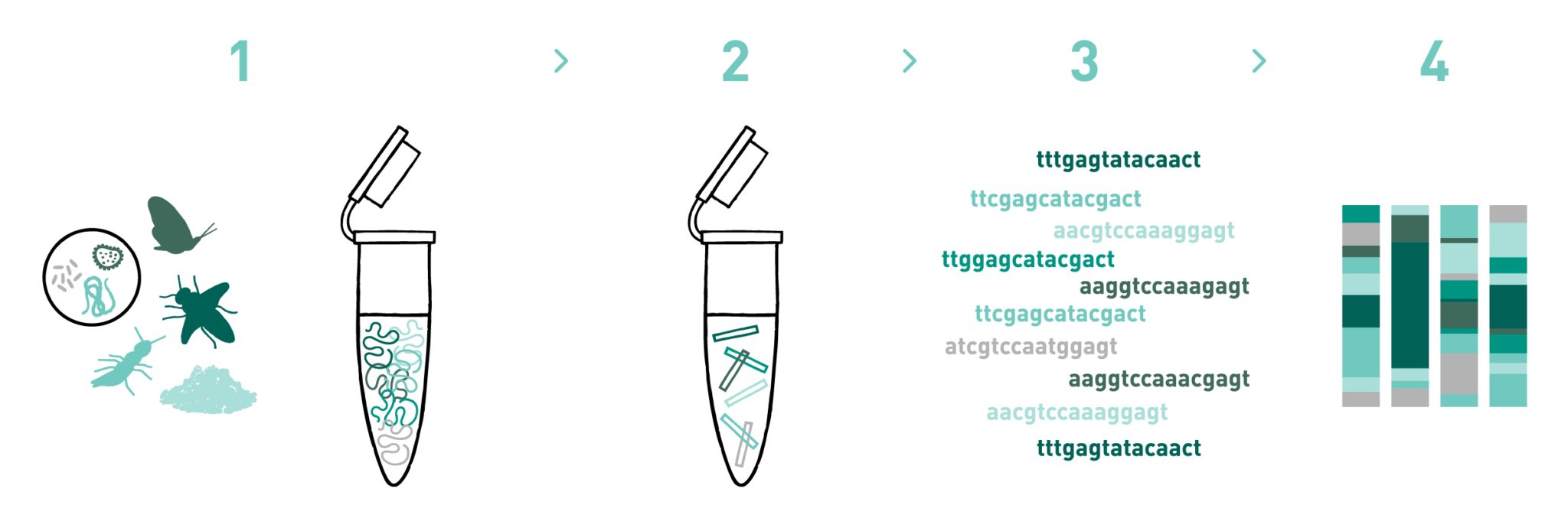 RNA metabarcoding service