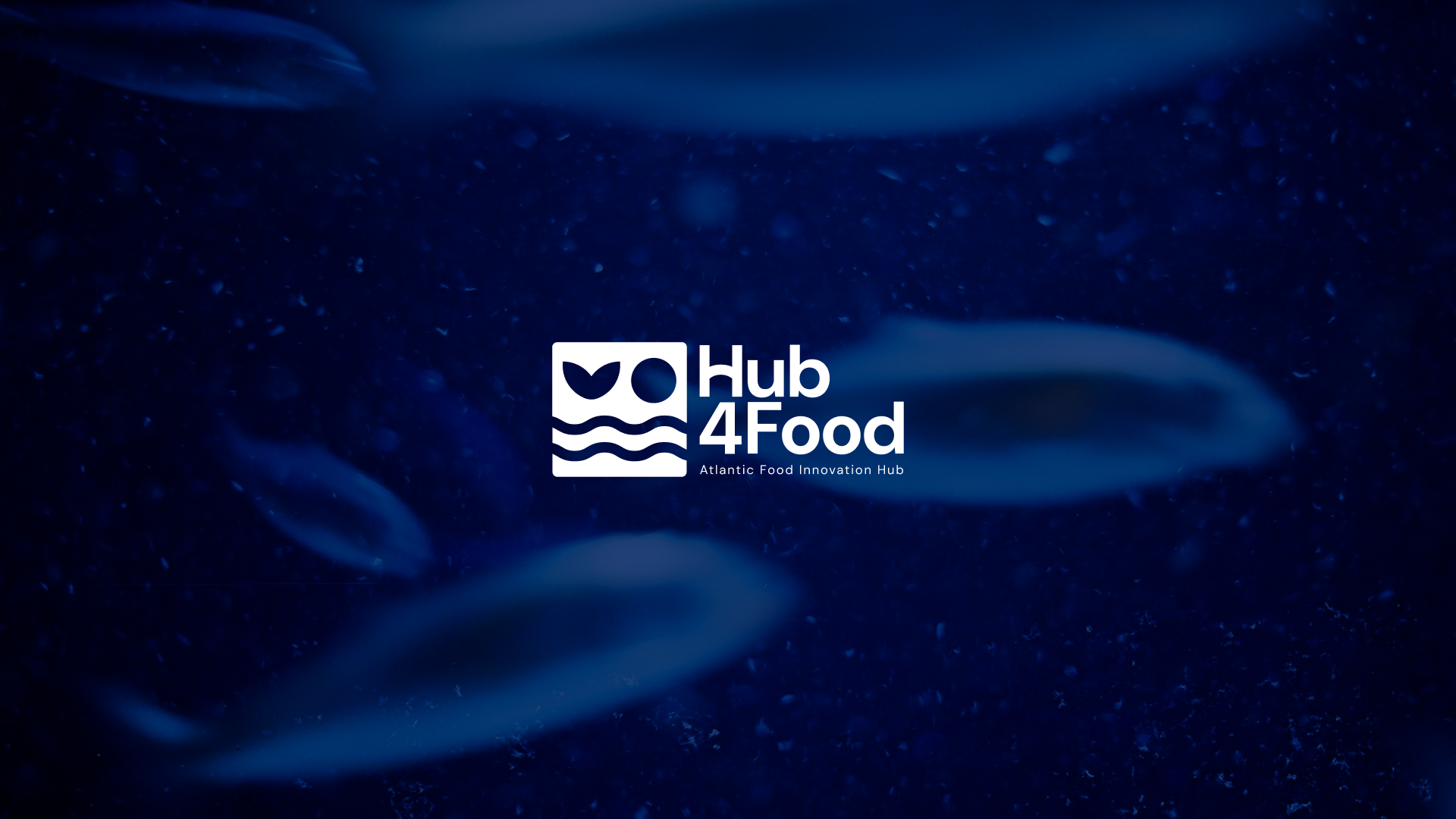 Hub4food-Web1