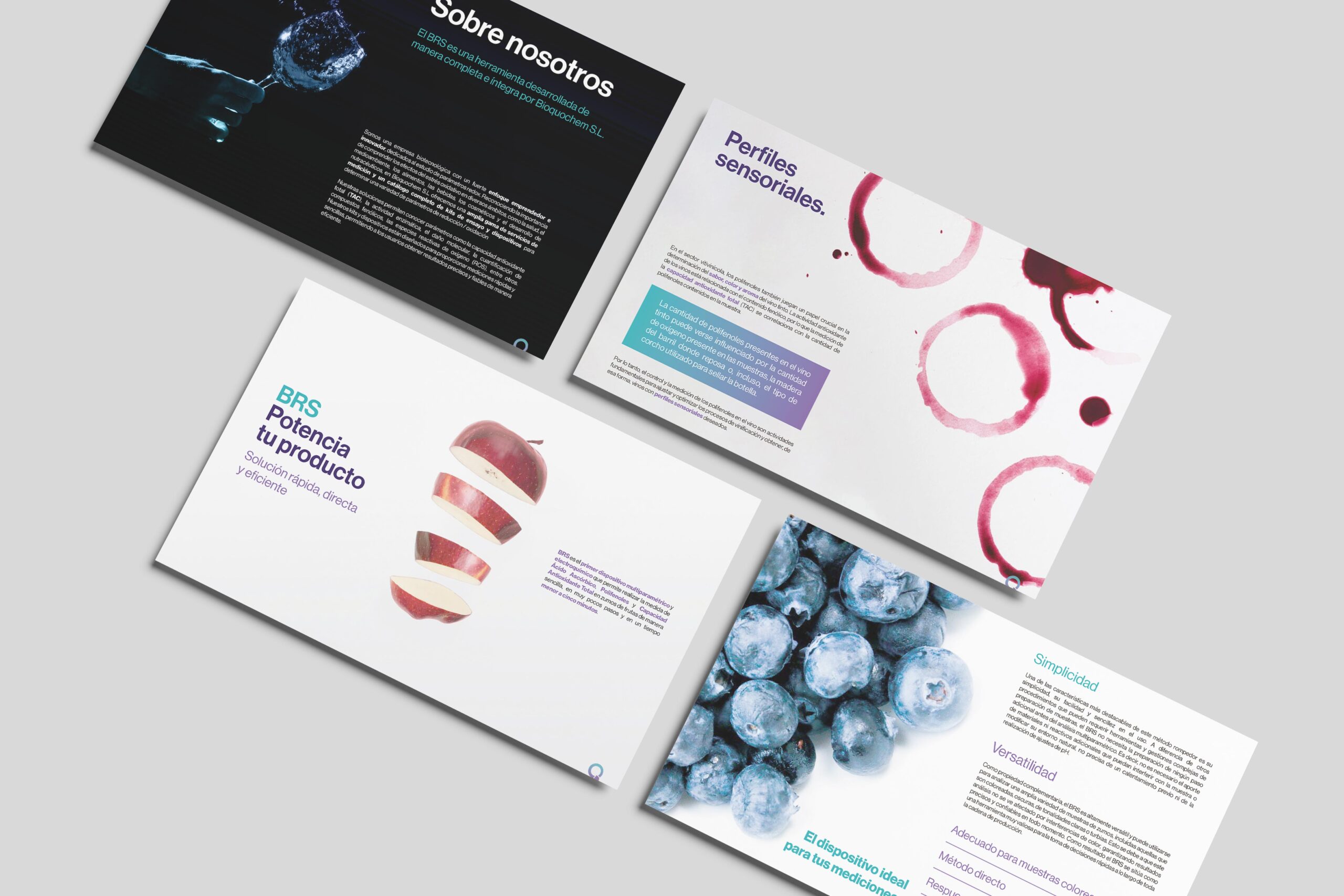 BQC-folletos Diseño para los folletos de Vino y Zumos_BQC