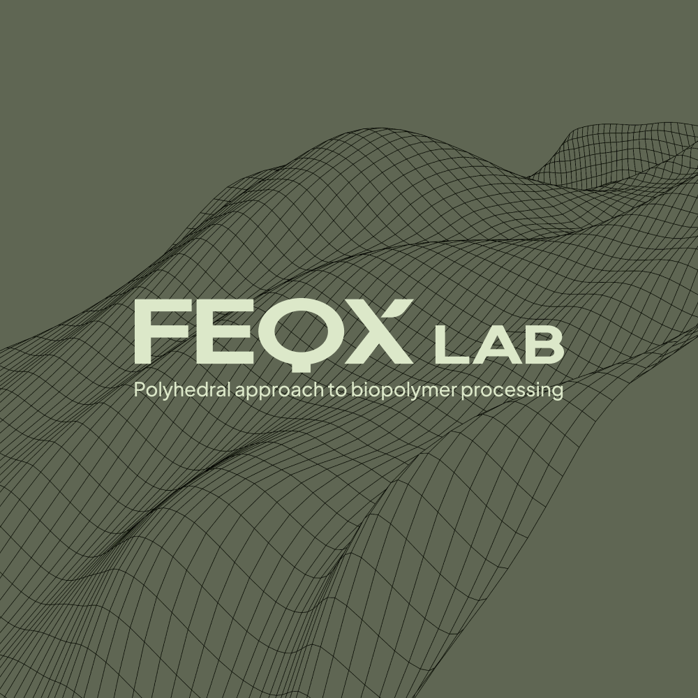 FEQX LAB_logotipo_V2